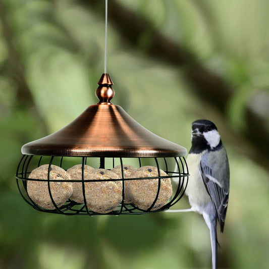 Mangeoire Pour Oiseaux Distributeur De Nourriture Pour Oiseaux Sauvages À Suspendre En Extérieur Pour Boules De Graisse