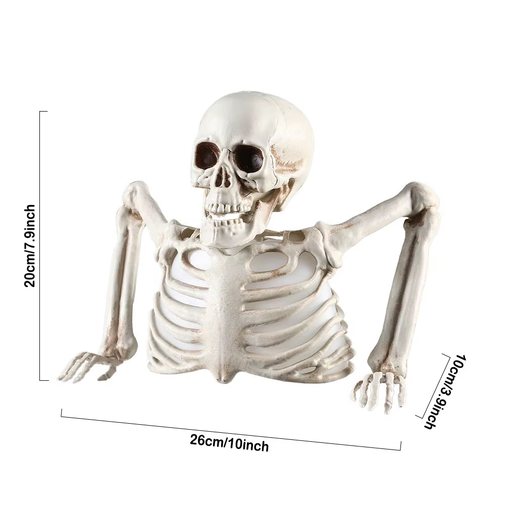 Crâne lumineux d'Halloween