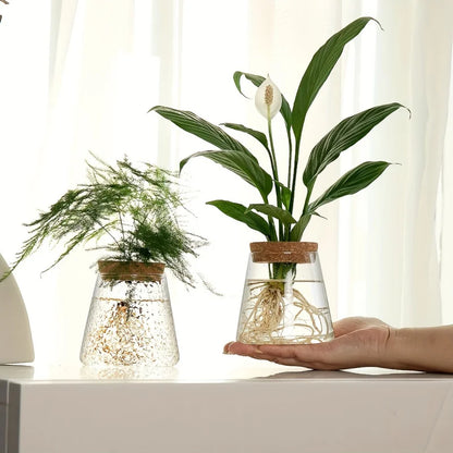 1Pc, Glass Flowerpot Breeding Station Vase Rack Desktop Hydroponic Plant Cuttings Office Home Decoration