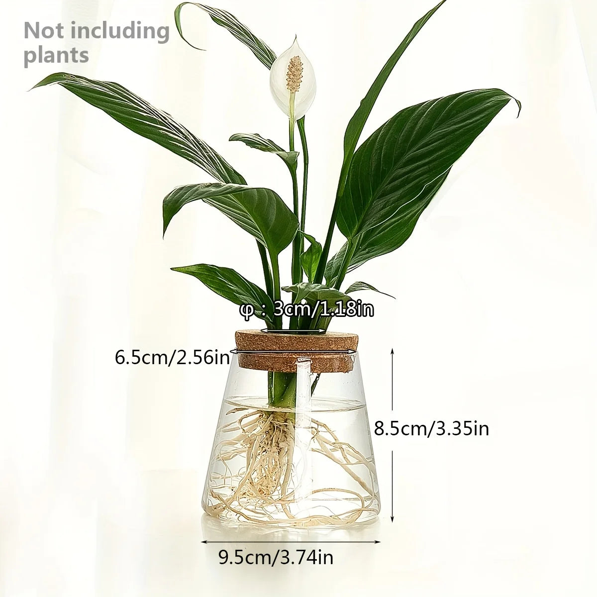 1Pc, Glass Flowerpot Breeding Station Vase Rack Desktop Hydroponic Plant Cuttings Office Home Decoration