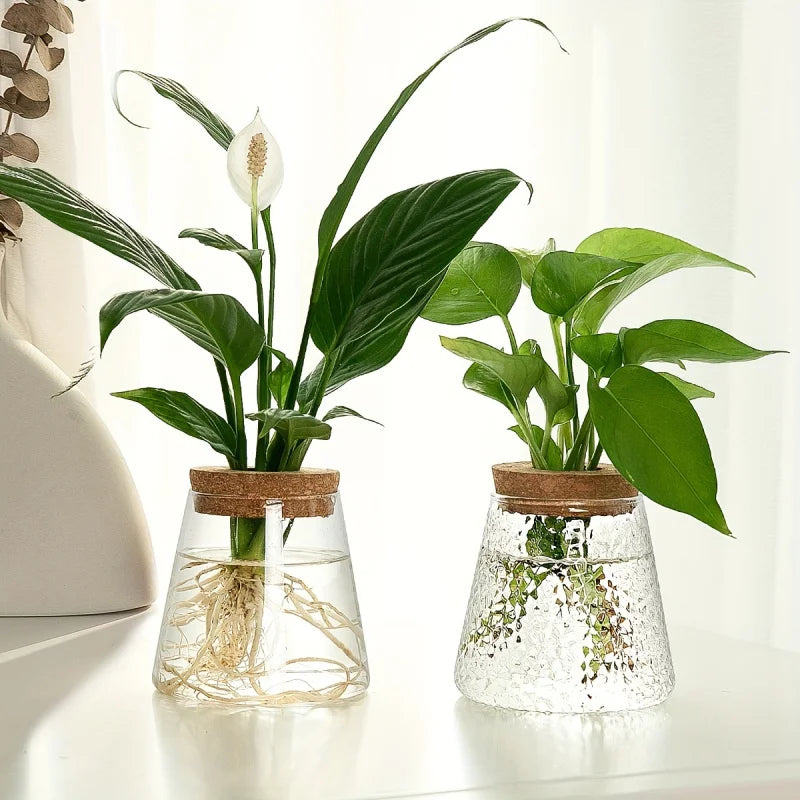 1Pc, Glass Flowerpot Breeding Station Vase Rack Desktop Hydroponic Plant Cuttings Office Home Decoration