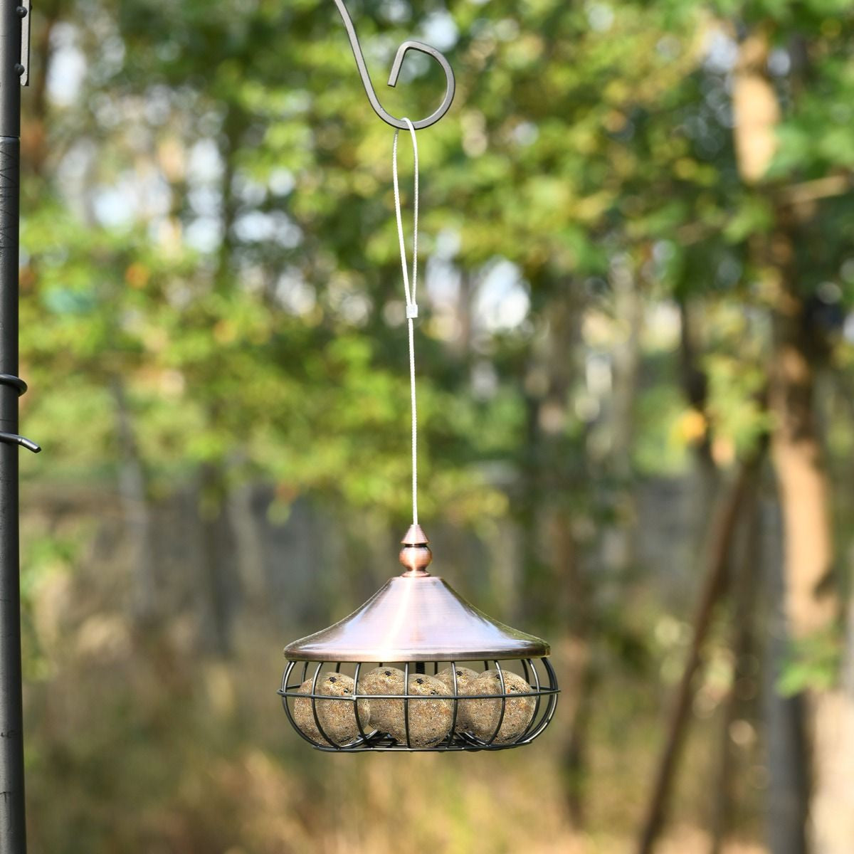 Mangeoire Pour Oiseaux Distributeur De Nourriture Pour Oiseaux Sauvages À Suspendre En Extérieur Pour Boules De Graisse